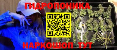 дживик Гусев