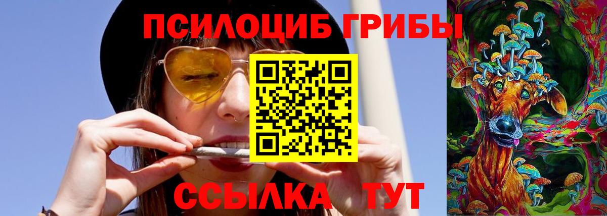 Заринск  Галлюциногенные грибы Magic Shrooms  Вход с VPN  Псилоцибиновые грибы ЛСД 
